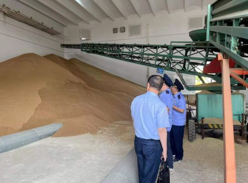 違規(guī)收購(gòu)糧食被罰10萬(wàn)元，南京公布一批典型案例加強(qiáng)糧食市場(chǎng)管理